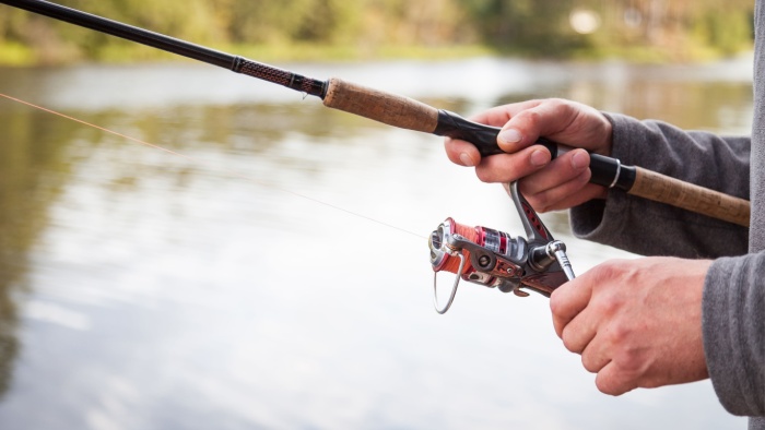 Fishing Reel Speed: Tips and Tricks To Get a Bite
